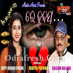 Re Hrudaya - New Year Special 2020